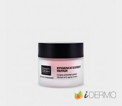 EPIGENCE EXPERT REPAIR